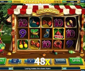 Security Systems 48x